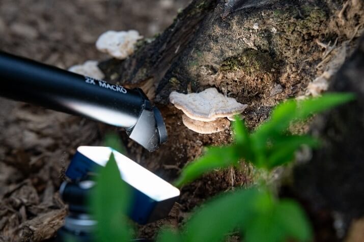 A close-up of a flashlight Description automatically generated