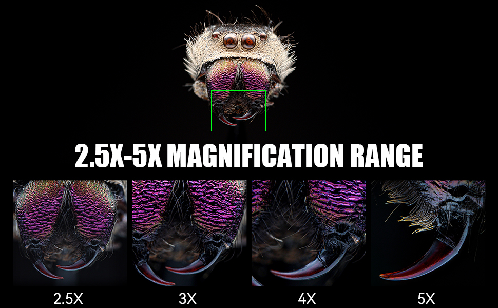 25mmF2.8 Magnification - AstrHori to launch RF 25mm f/2.8 2x-5x Macro Lens for $249