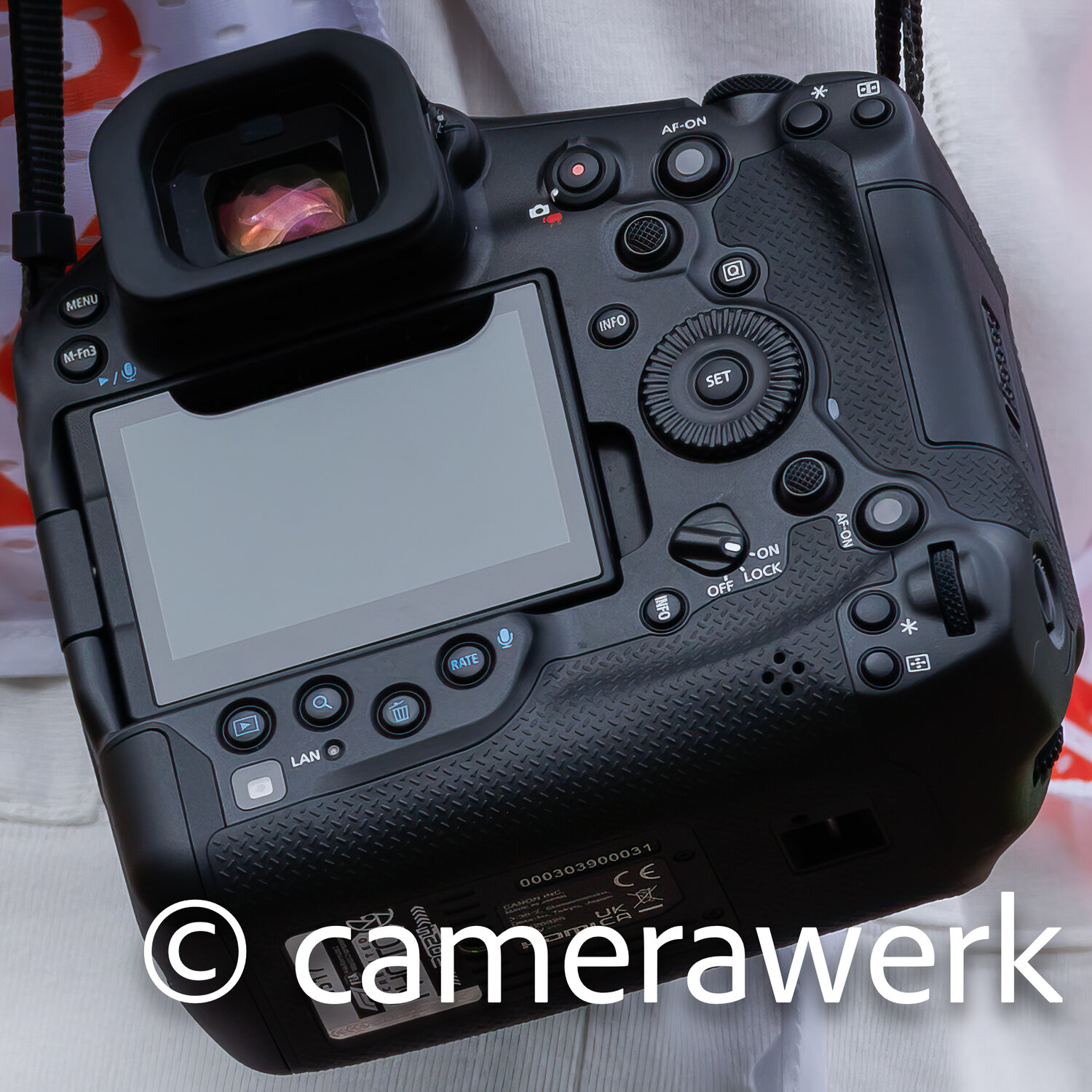 A Canon EOS R1 Roundup, and a few more things - Canon Rumors