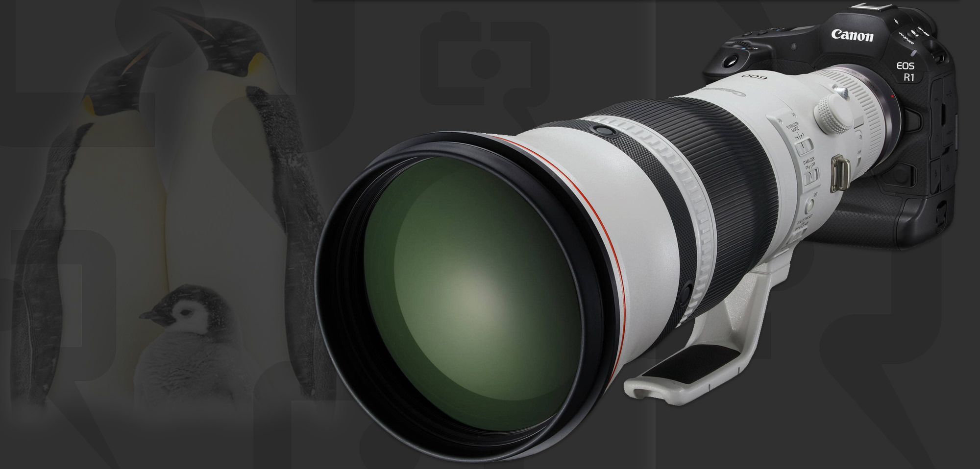 www.canonrumors.com