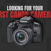 Best Canon Cameras for Beginners