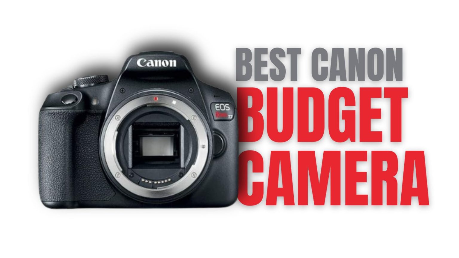 5 Best Canon Cameras for Beginners to Buy In 2025 Canon Rumors