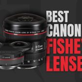 Best Canon Fisheye Lenses