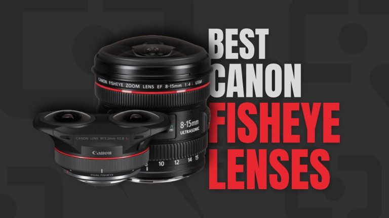 Best Canon Fisheye Lenses