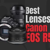 Best Lenses for Canon EOS R50