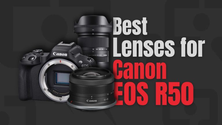 Best Lenses for Canon EOS R50