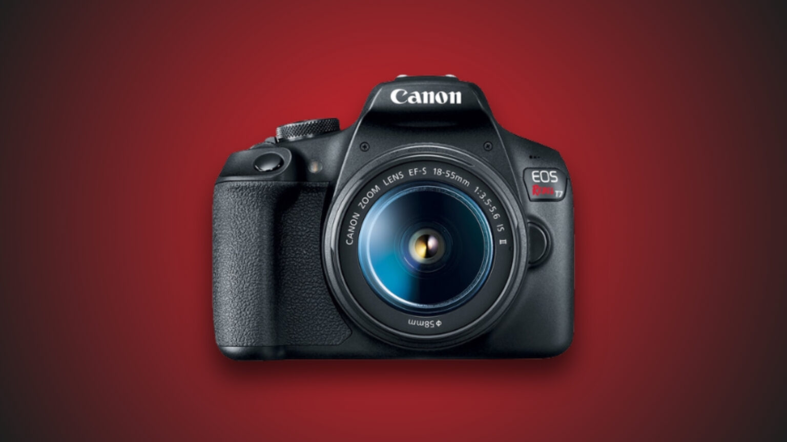 Best Cameras Under $500 in 2025