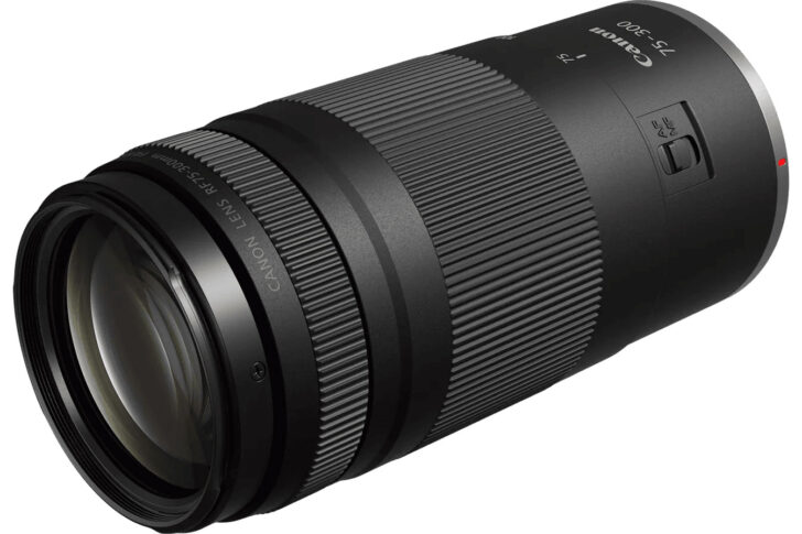 望遠レンズ Canon EF 75-300mm F4-5.6 USM #216 Amazon.com : Canon RF 75-300mm f/4-5.6 Compact Telephoto