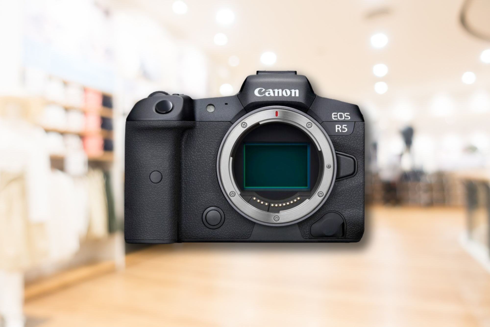Strike A Pose! 5 Best Canon Cameras For Fashion Photography