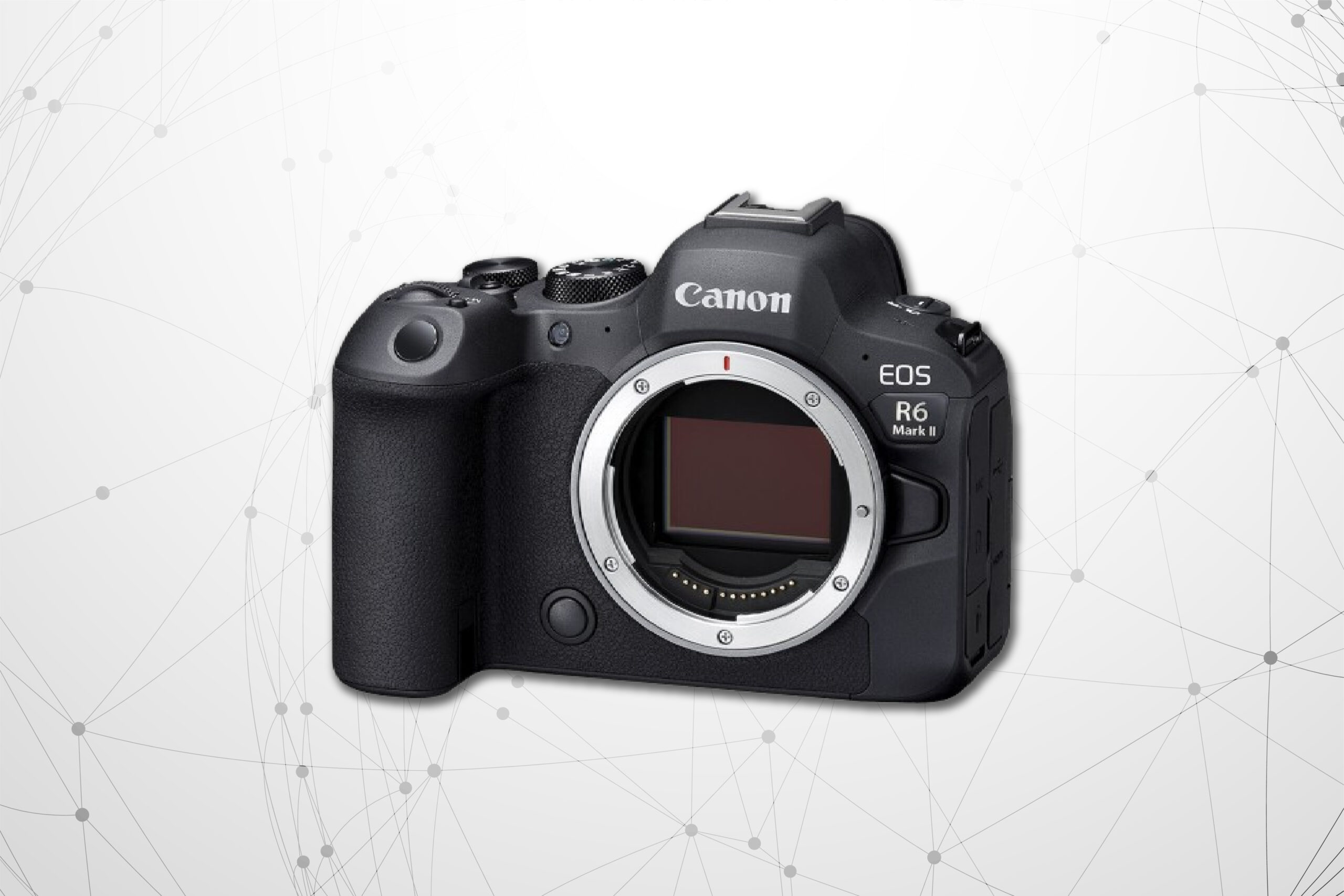 Canon’s 5 Rockstars for Concert Photography
