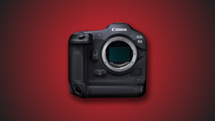 Canon R3 - one of Best Canon Cameras for Bird Photography