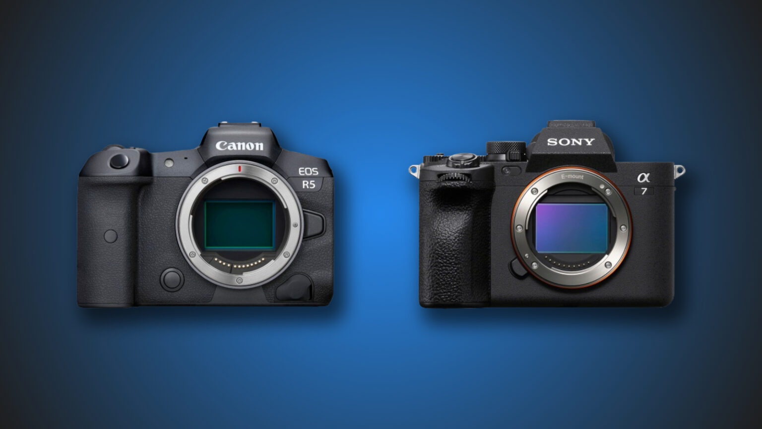Canon R5 vs Sony A7 IV