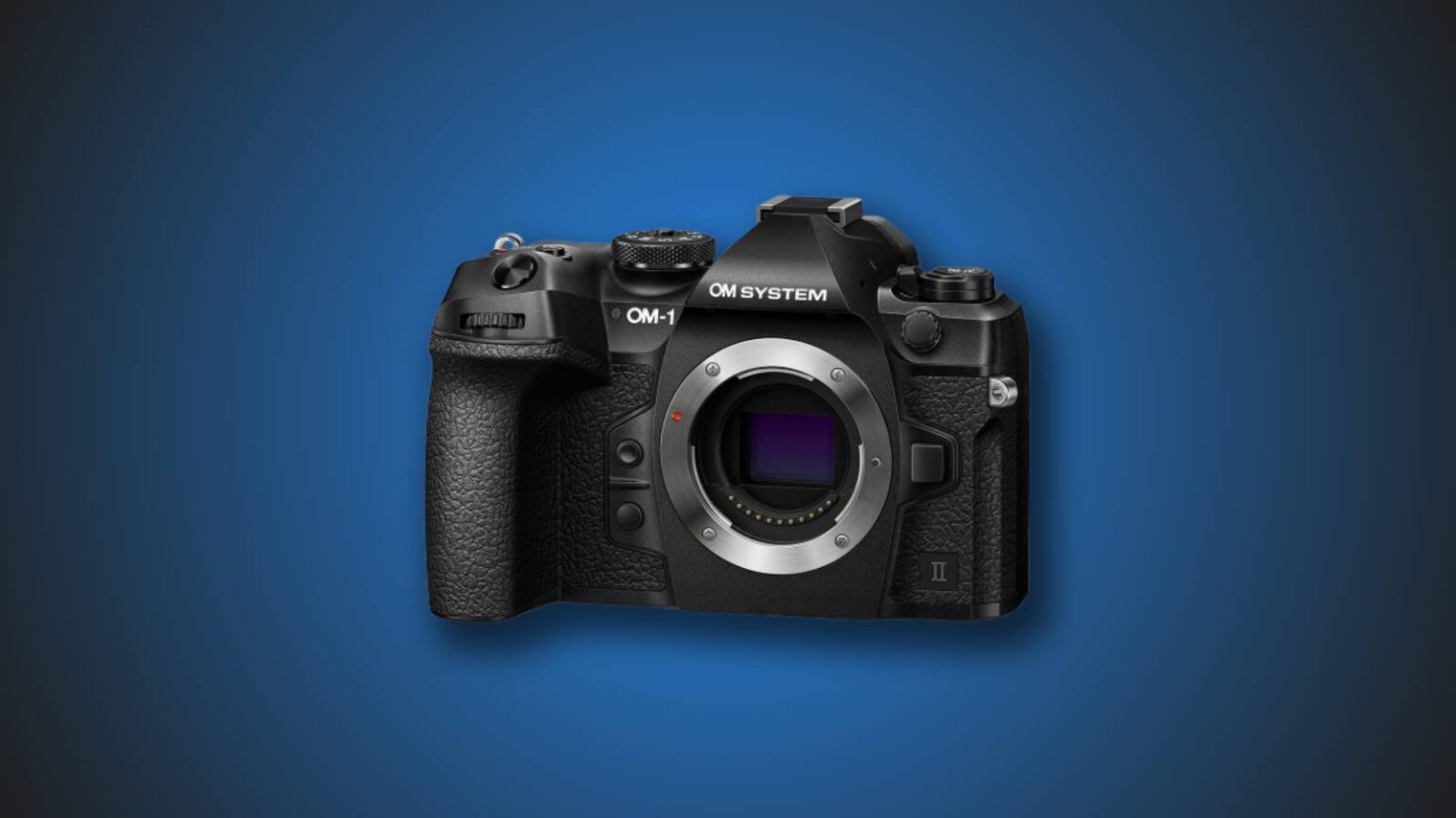 Best Cameras for Bird Photography