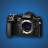 Best Cameras for Bird Photography