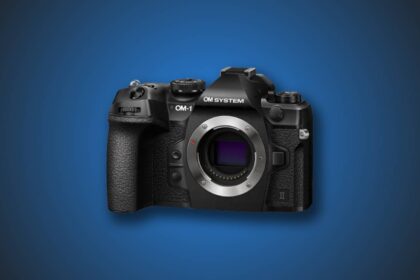 Best Cameras for Bird Photography