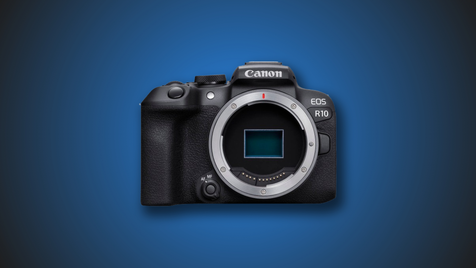 Best Canon Cameras for Macro Photography