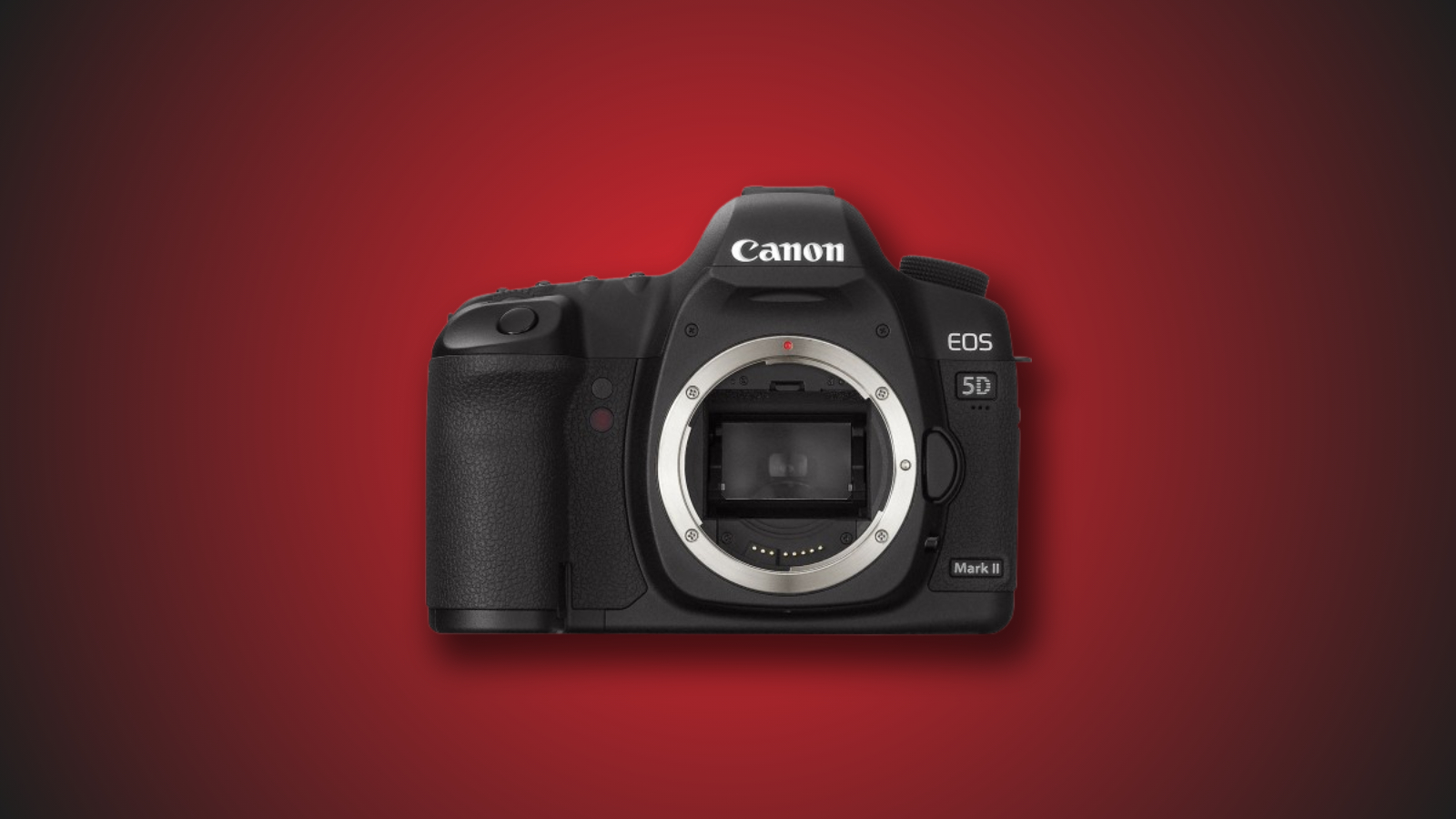 Best Canon Cameras for Magic Lantern
