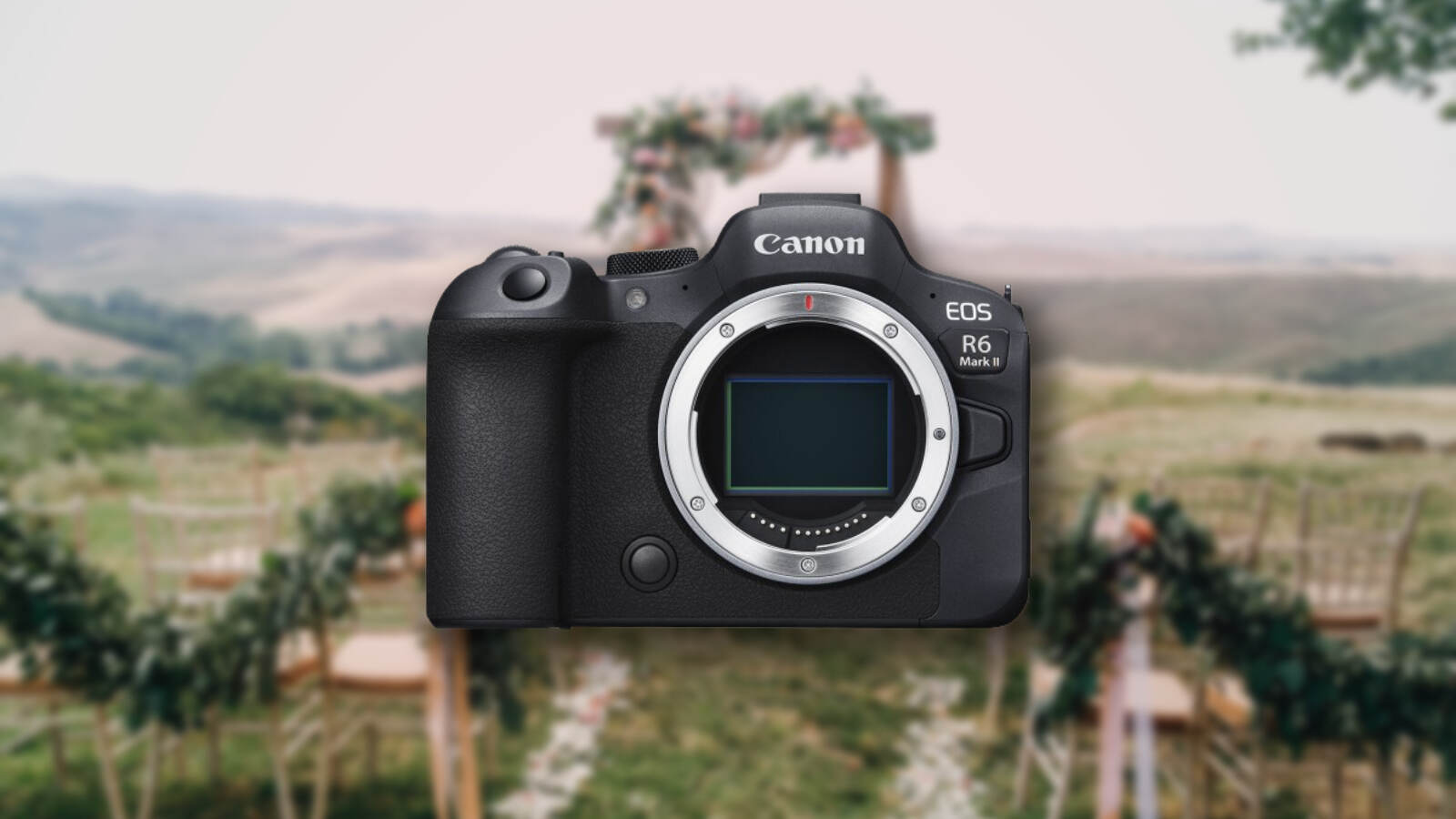 Best Canon Cameras for Wedding Photography