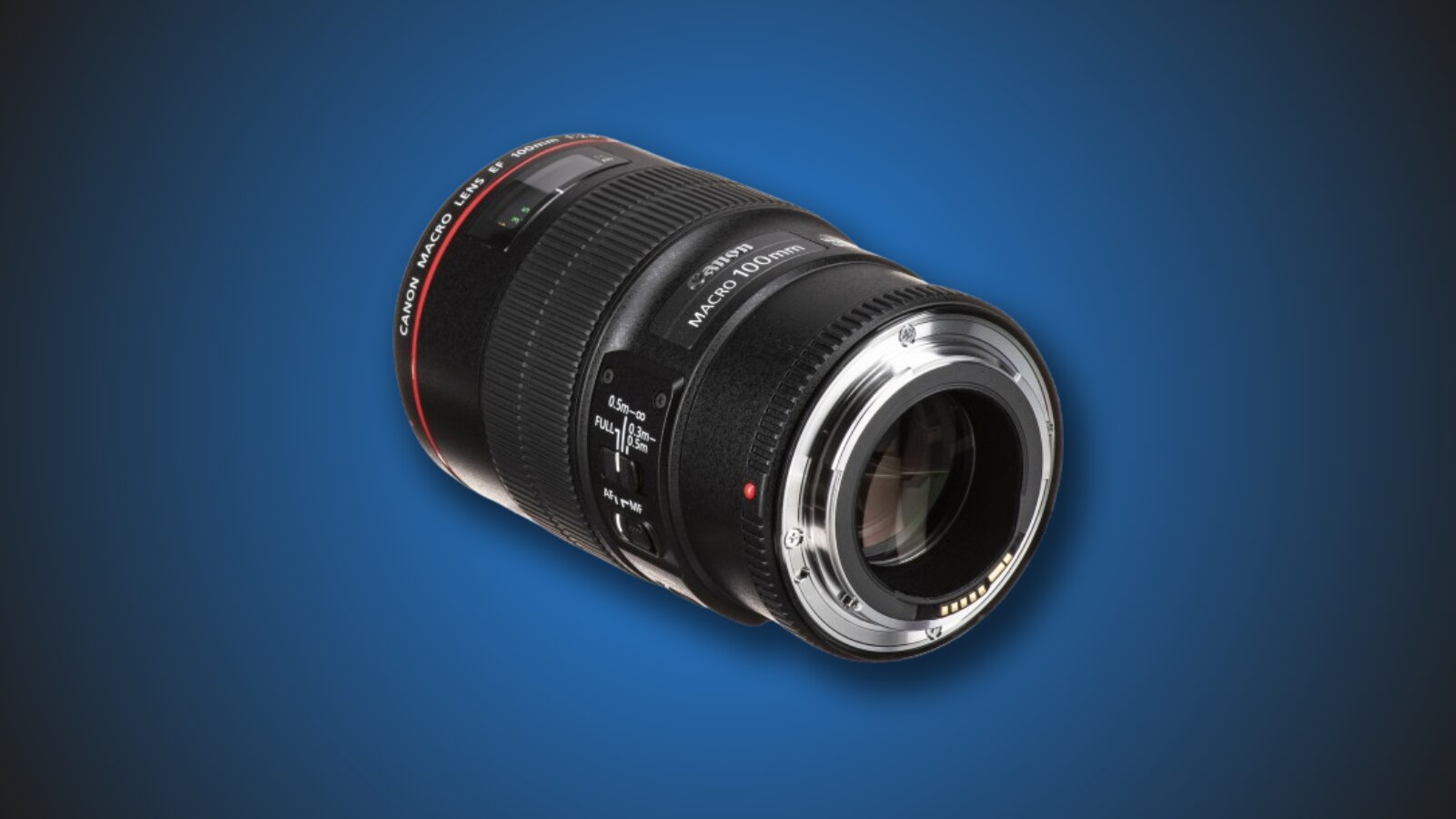 Best Canon Lenses for Underwater Photography