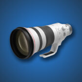 Best lens for Wildlife photography
