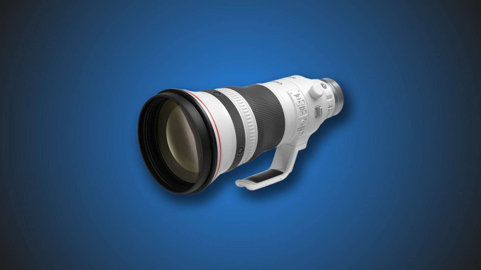 Best lens for Wildlife photography
