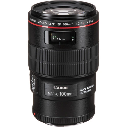 Canon EF 100 mm f/2.8 L Macro IS USM