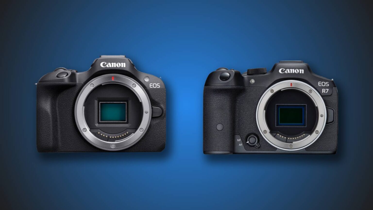 Canon R100 vs Canon R7