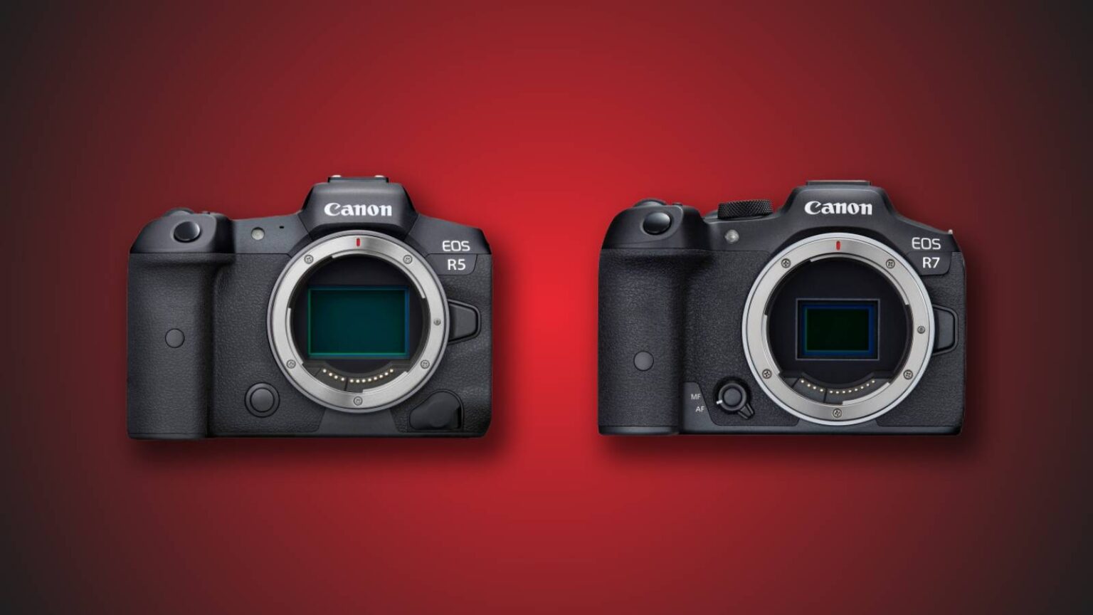 Canon R5 vs R7