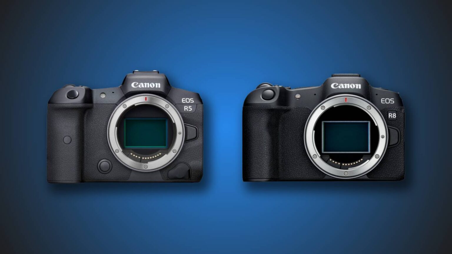 Canon R5 vs R8