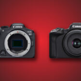 Canon R7 vs Canon R50