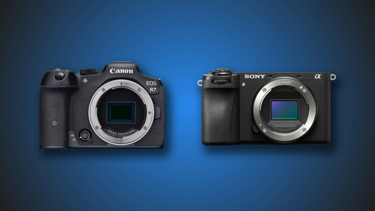 Canon R7 vs Sony A6700
