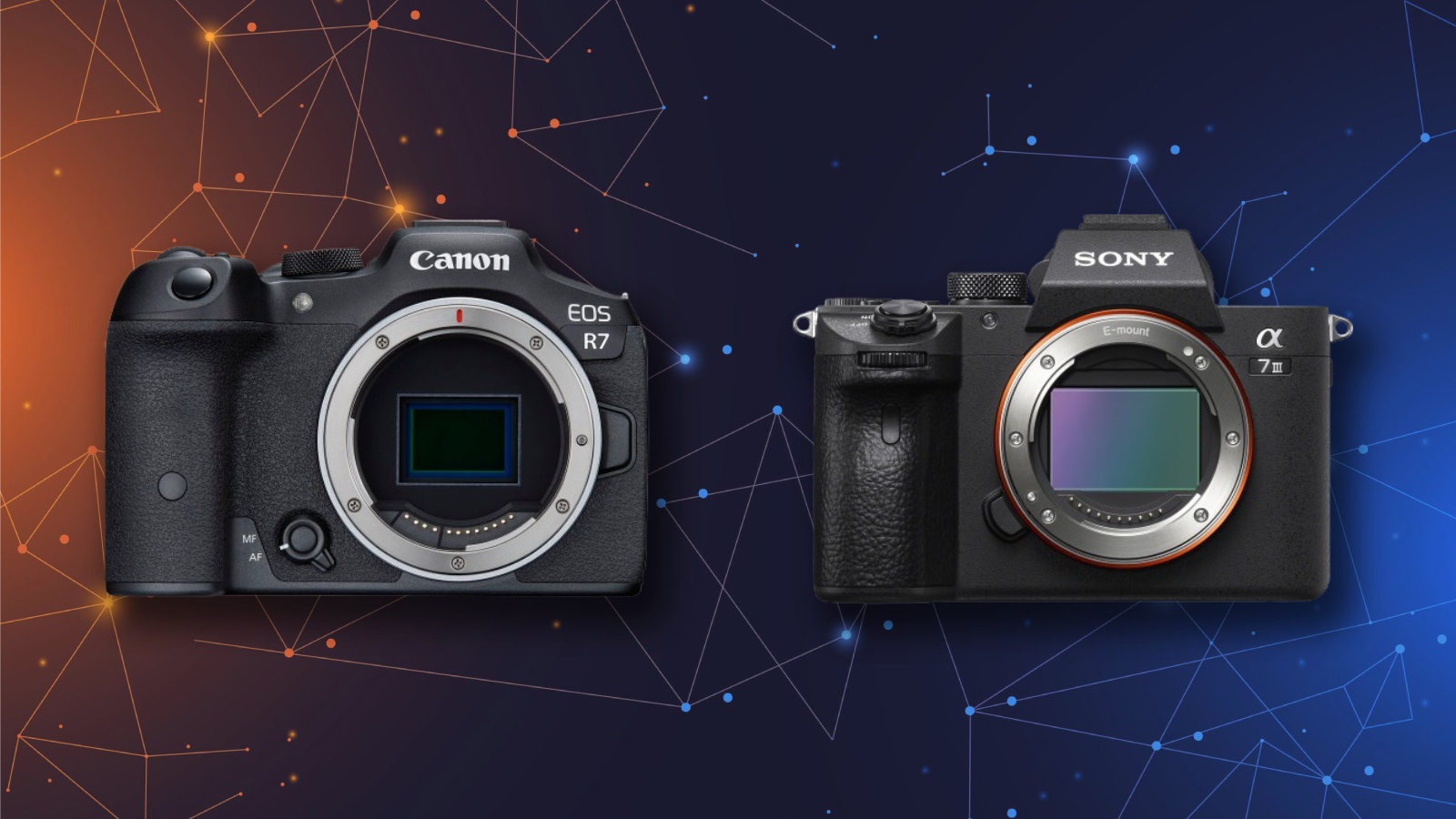 Canon R7 vs Sony A7 III