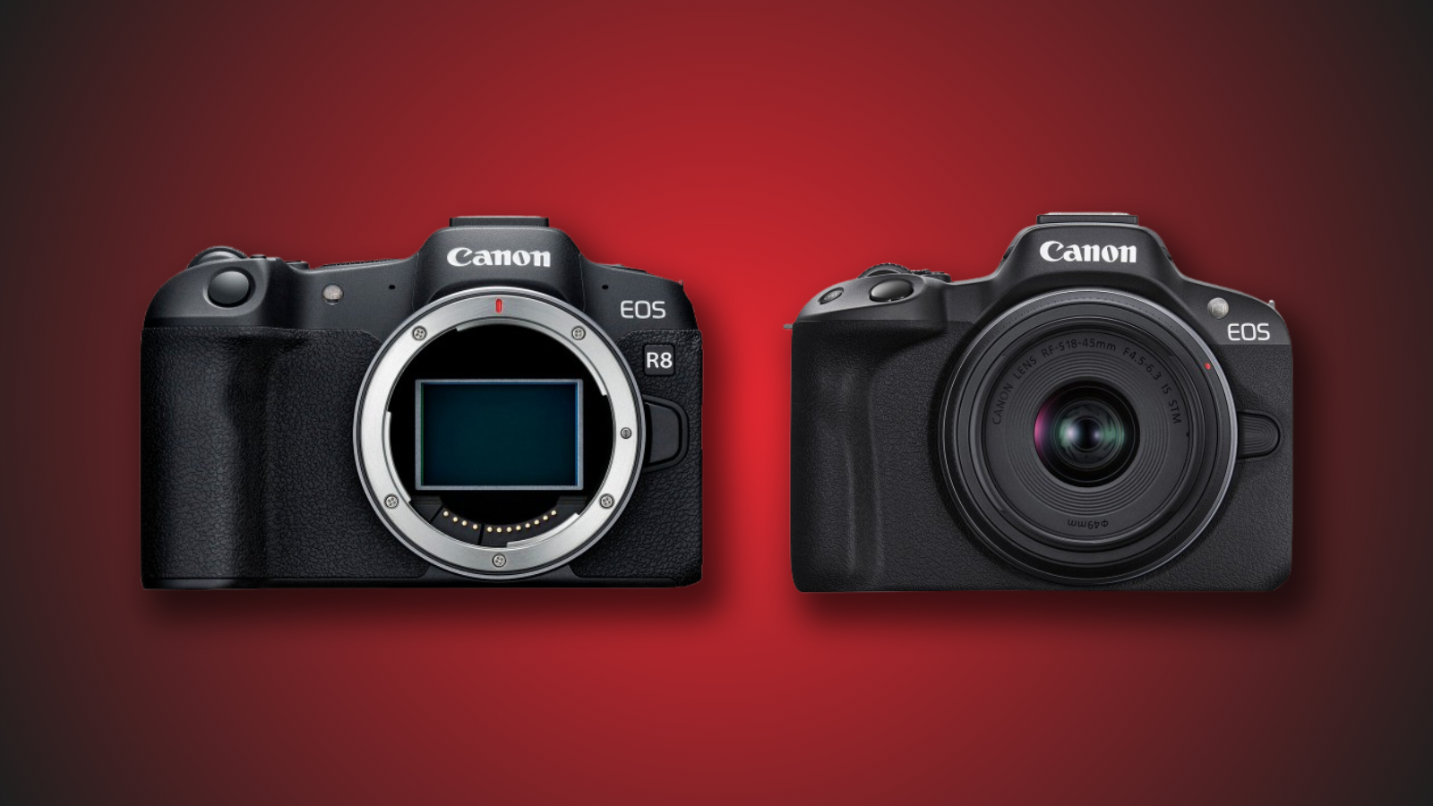 Canon R8 vs. R50: Budget Full-Frame vs. Budget Crop