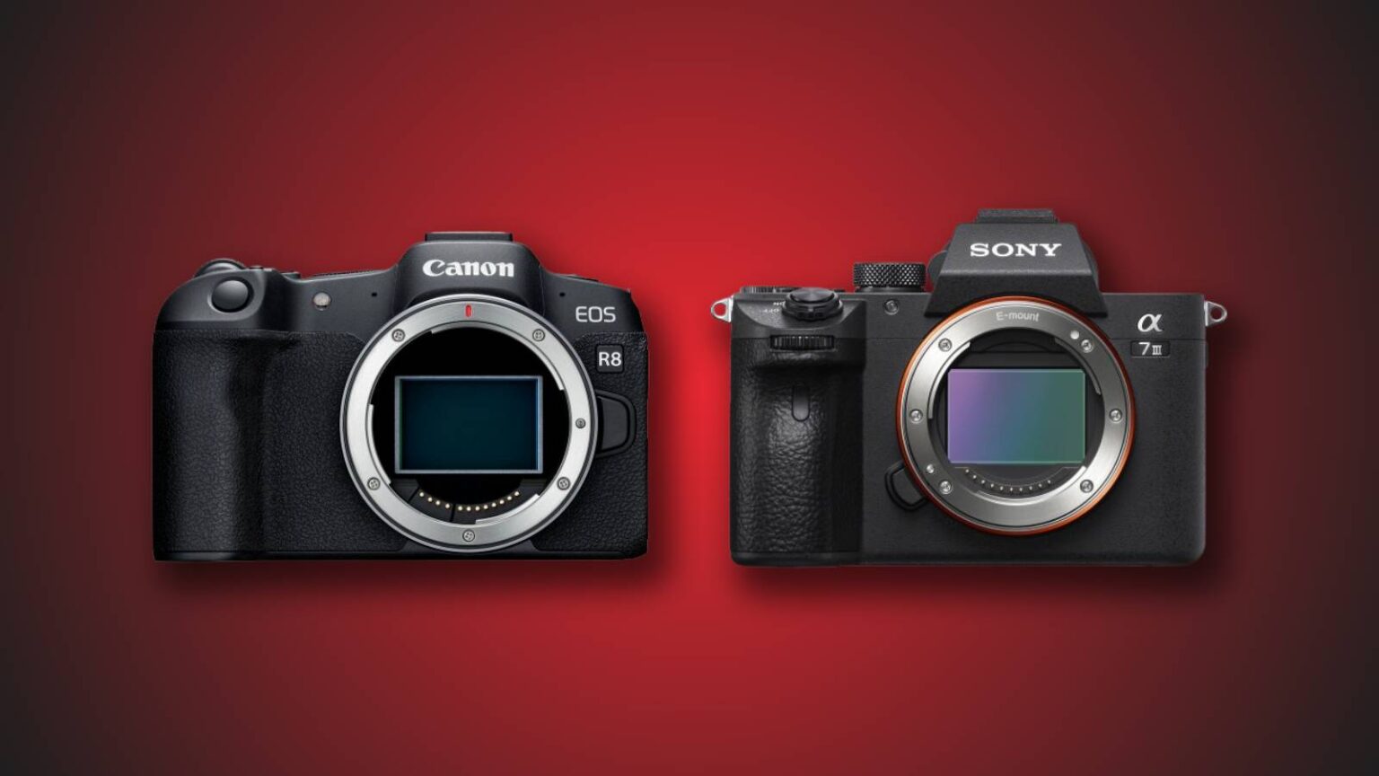 Canon R8 vs. Sony A7 III