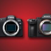 Canon R8 vs. Sony A7 III