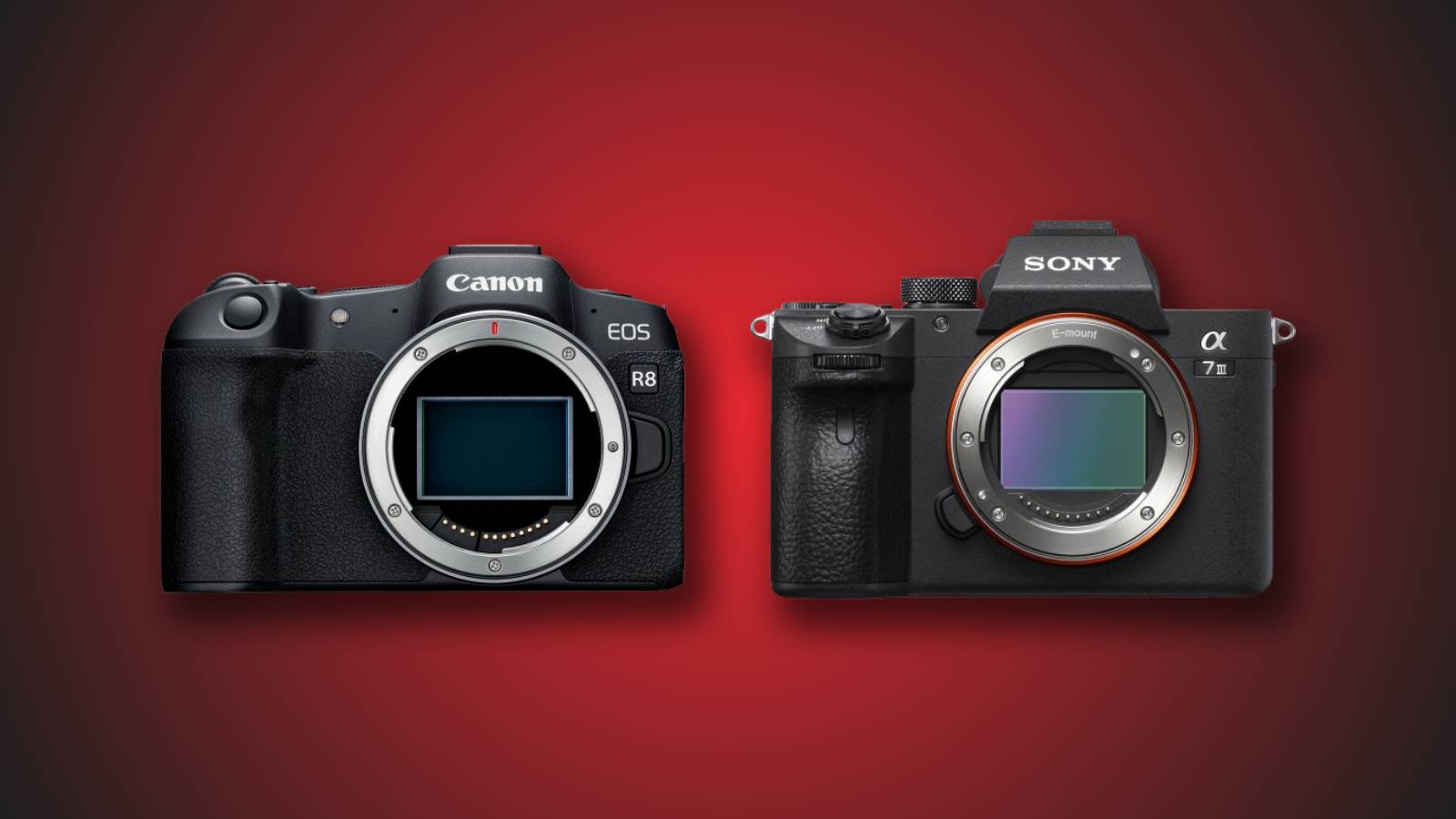 Canon R8 vs. Sony A7 III: The Budget Full-Frame Brawl 
