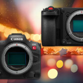Why I'm Buying The R5C Instead Of The C50 (Or R6 Mark III)