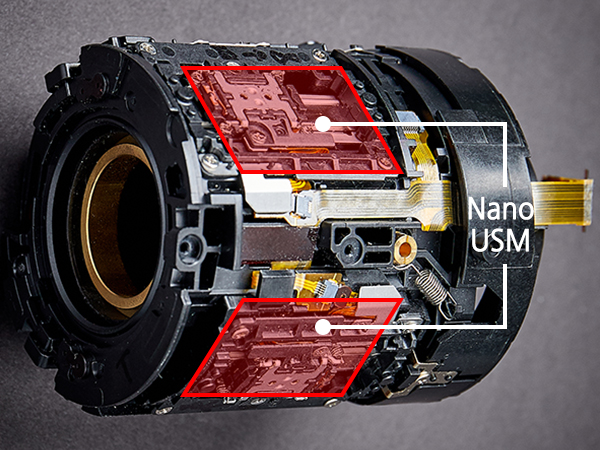 Canon Dual Nano USM from the RF 70-200mm f/2.8L IS USM