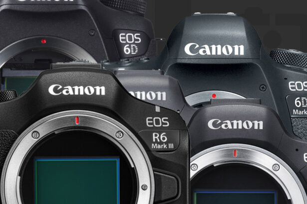 Canon EOS 6 Series: 6D, 6D Mark II, R6, R6 Mark II, R6 Mark III