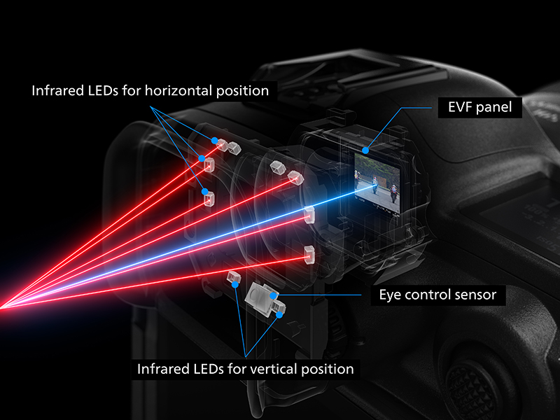 Canon R5 Mark II Eye Control Focus