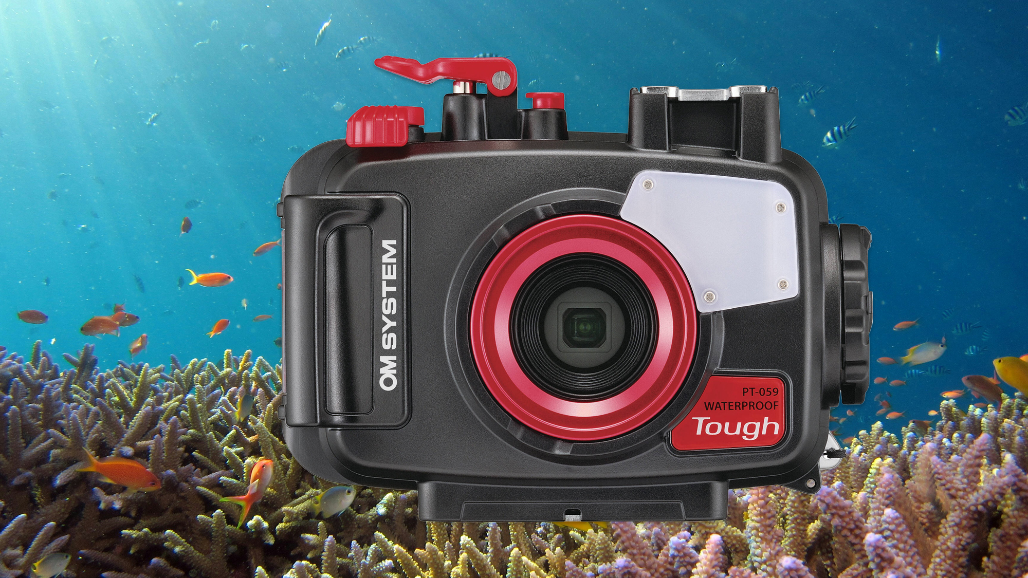 These Are Our Favourite Underwater Cameras