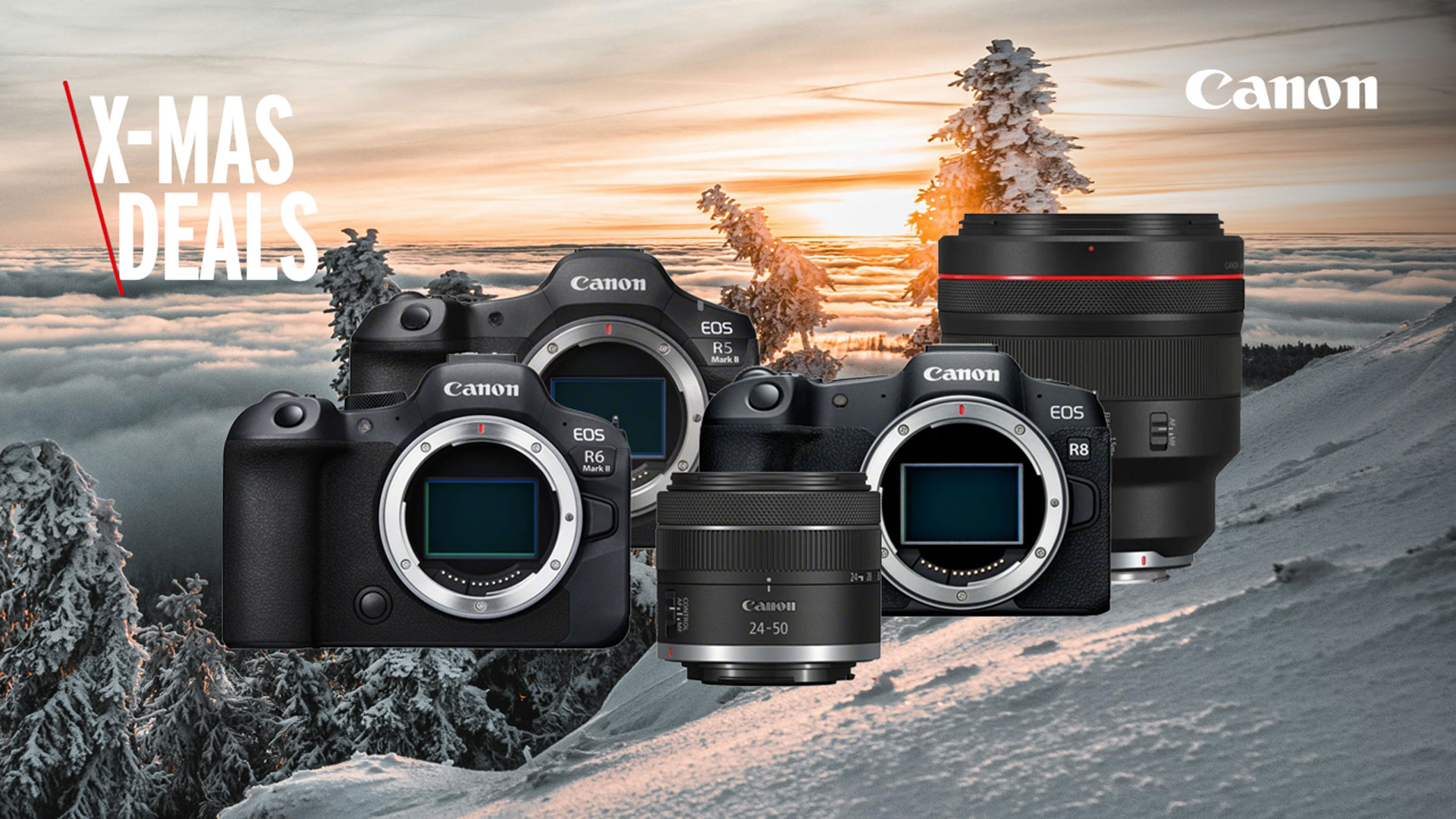 Canon Christmas Deals at Foto Erhardt