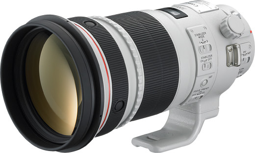 Canon EF 300mm f/2.8L IS II USM