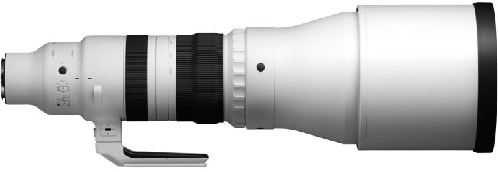 Sigma 300-600mm f/4 DG OS Sports